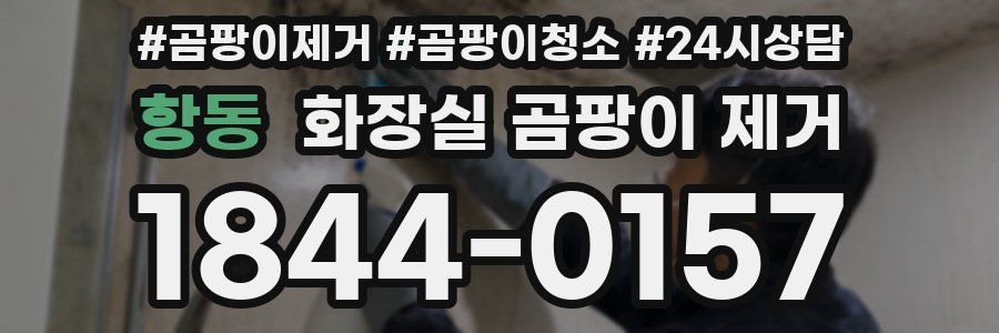 항동 화장실 곰팡이 제거