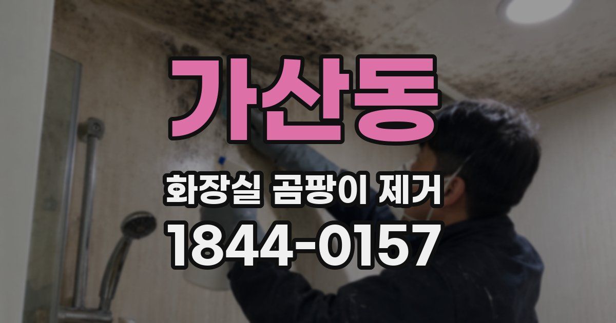 가산동 화장실 곰팡이 제거