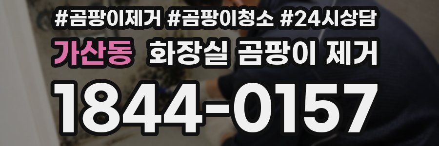 가산동 화장실 곰팡이 제거