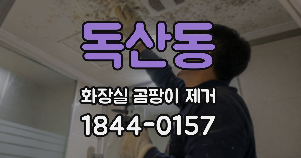 독산동 화장실 곰팡이 제거