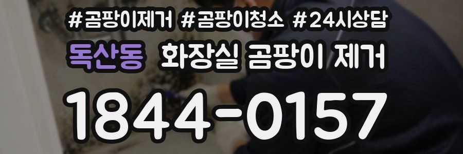 독산동 화장실 곰팡이 제거