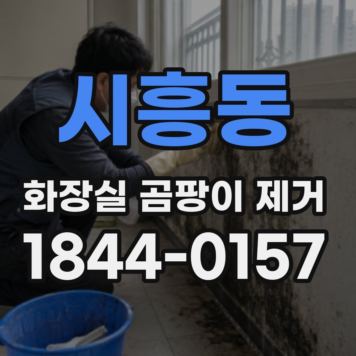 시흥동 화장실 곰팡이 제거