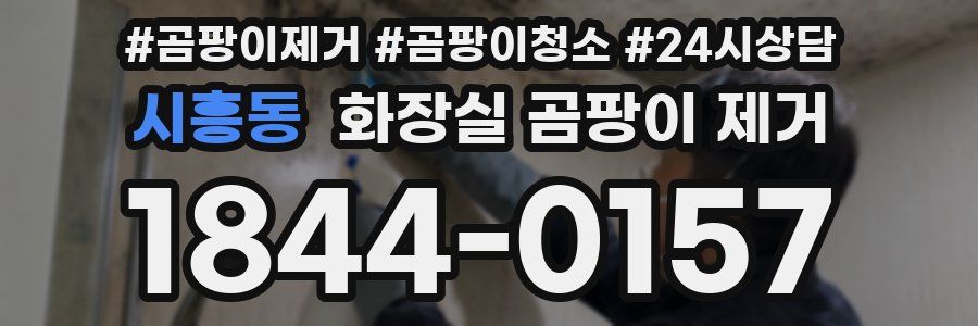 시흥동 화장실 곰팡이 제거
