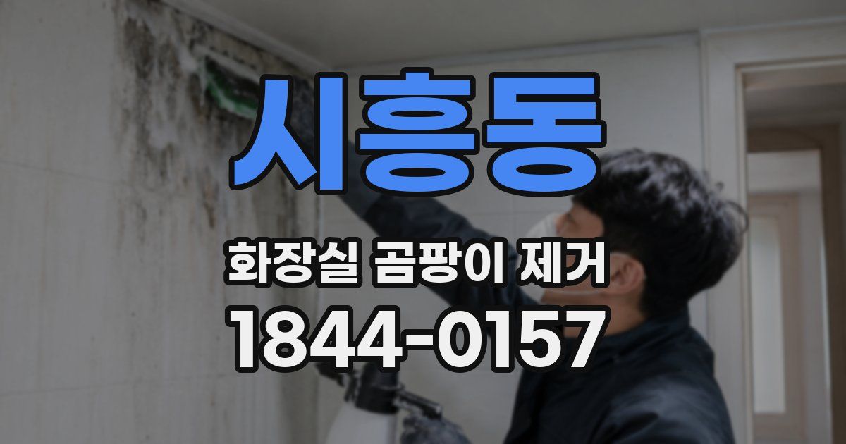 시흥동 화장실 곰팡이 제거