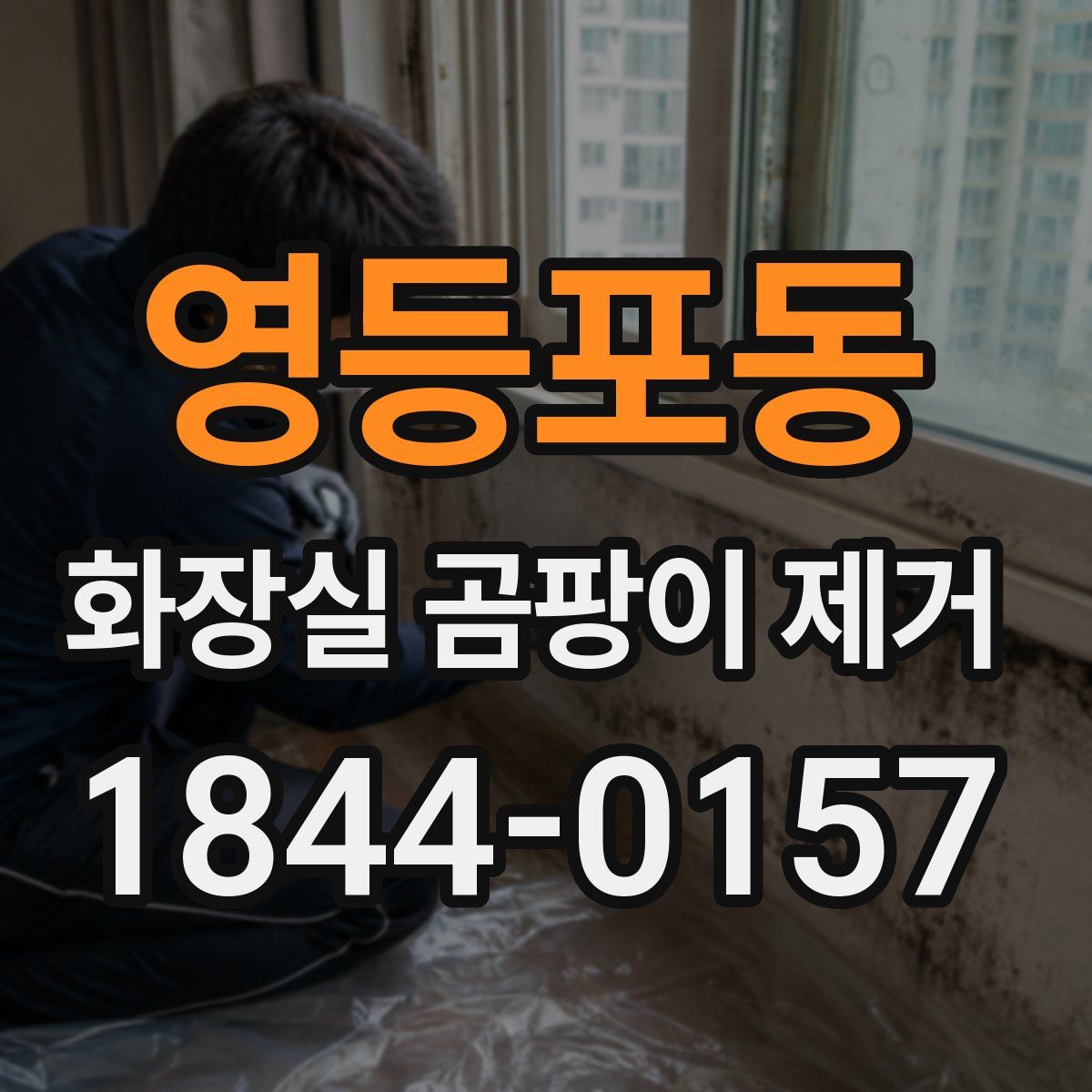 영등포동 화장실 곰팡이 제거