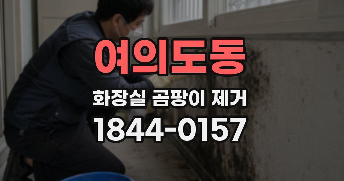 여의도동 화장실 곰팡이 제거