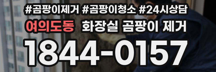여의도동 화장실 곰팡이 제거