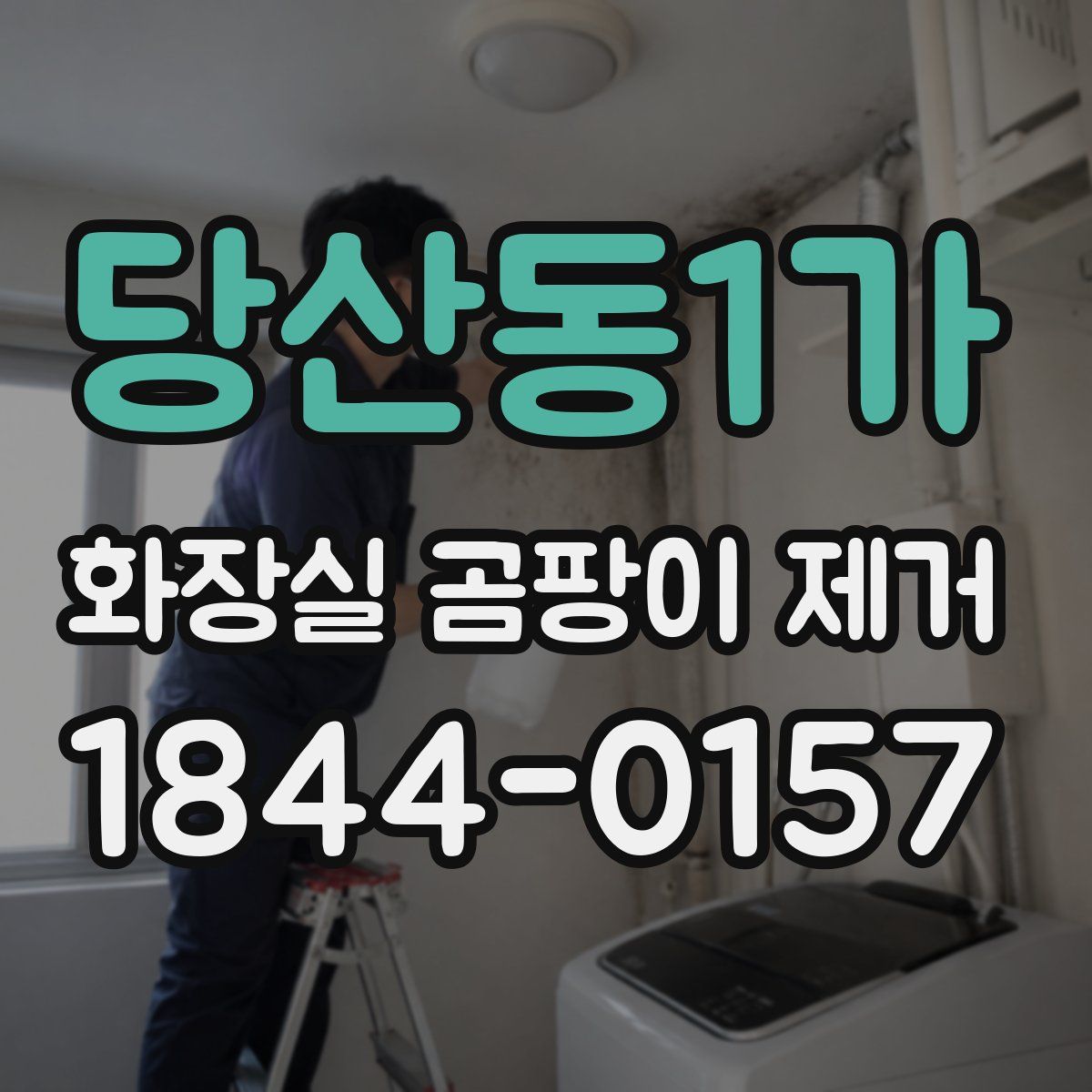 당산동1가 화장실 곰팡이 제거