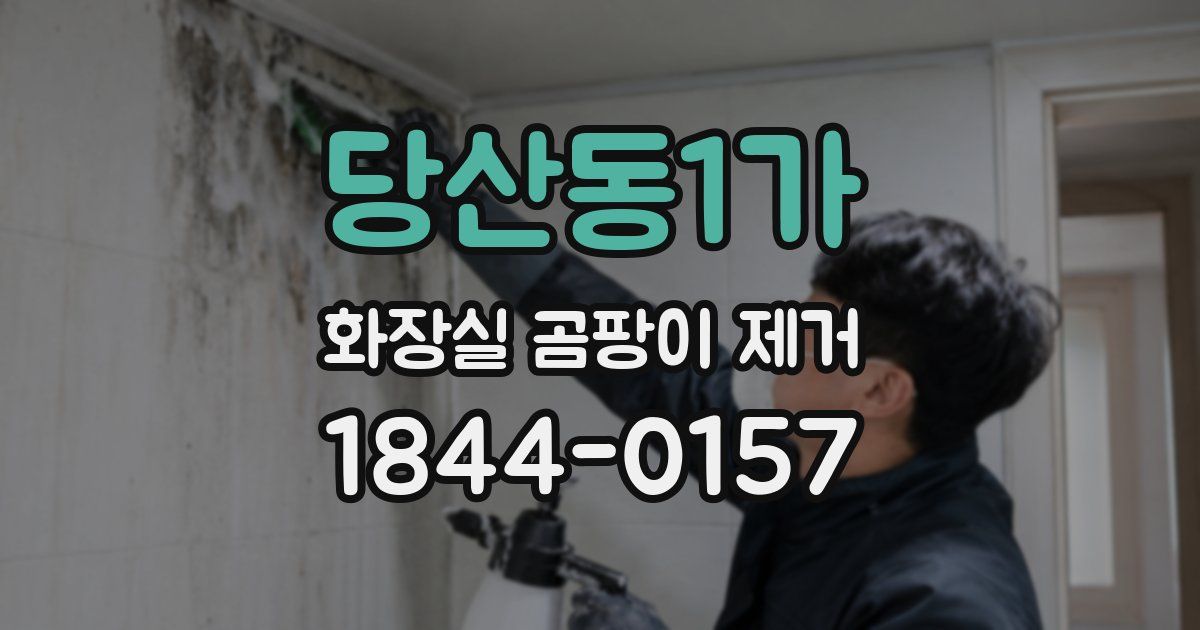 당산동1가 화장실 곰팡이 제거
