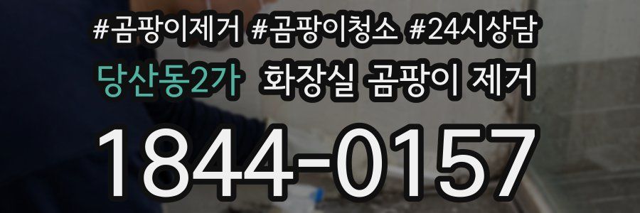 당산동2가 화장실 곰팡이 제거