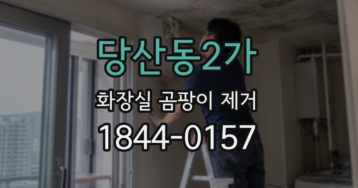 당산동2가 화장실 곰팡이 제거