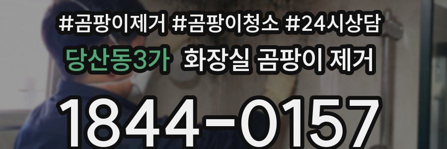 당산동3가 화장실 곰팡이 제거