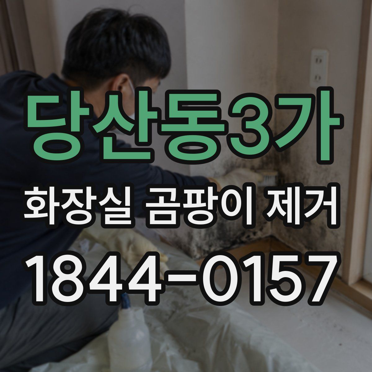 당산동3가 화장실 곰팡이 제거