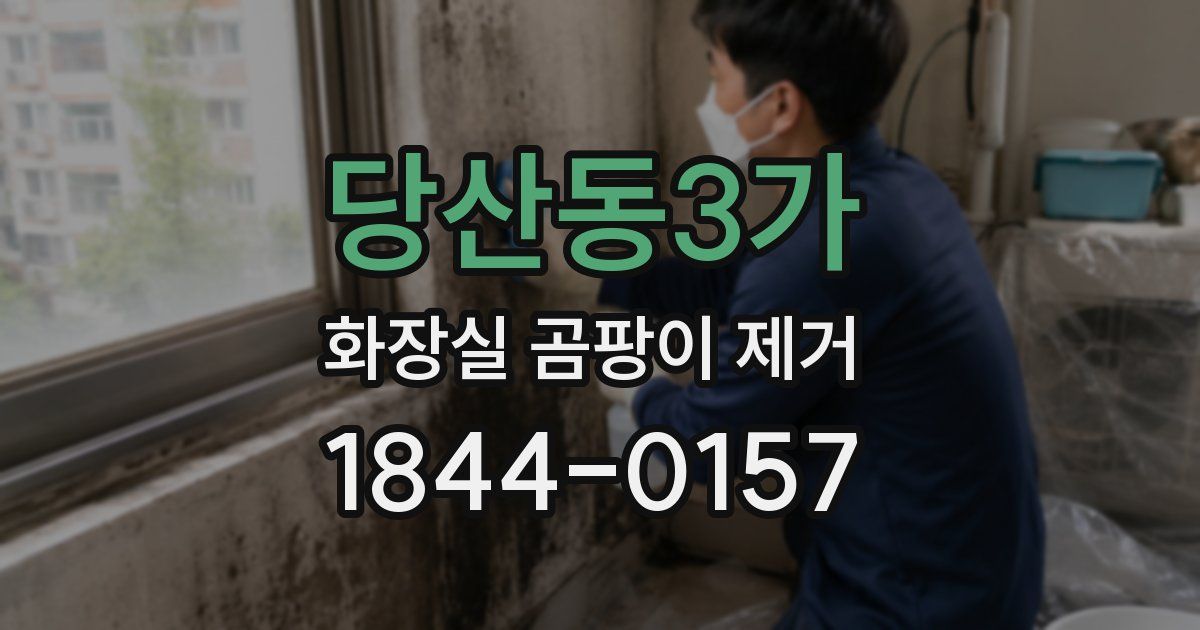 당산동3가 화장실 곰팡이 제거