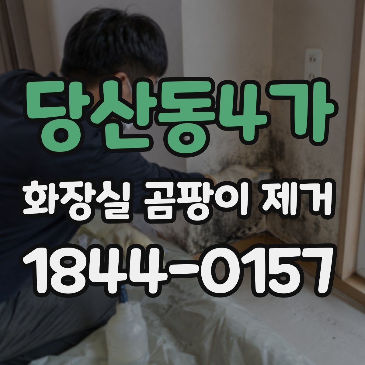 당산동4가 화장실 곰팡이 제거 뒤 방수 상태 점검이 중요한 이유
