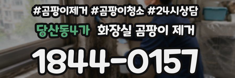 당산동4가 화장실 곰팡이 제거
