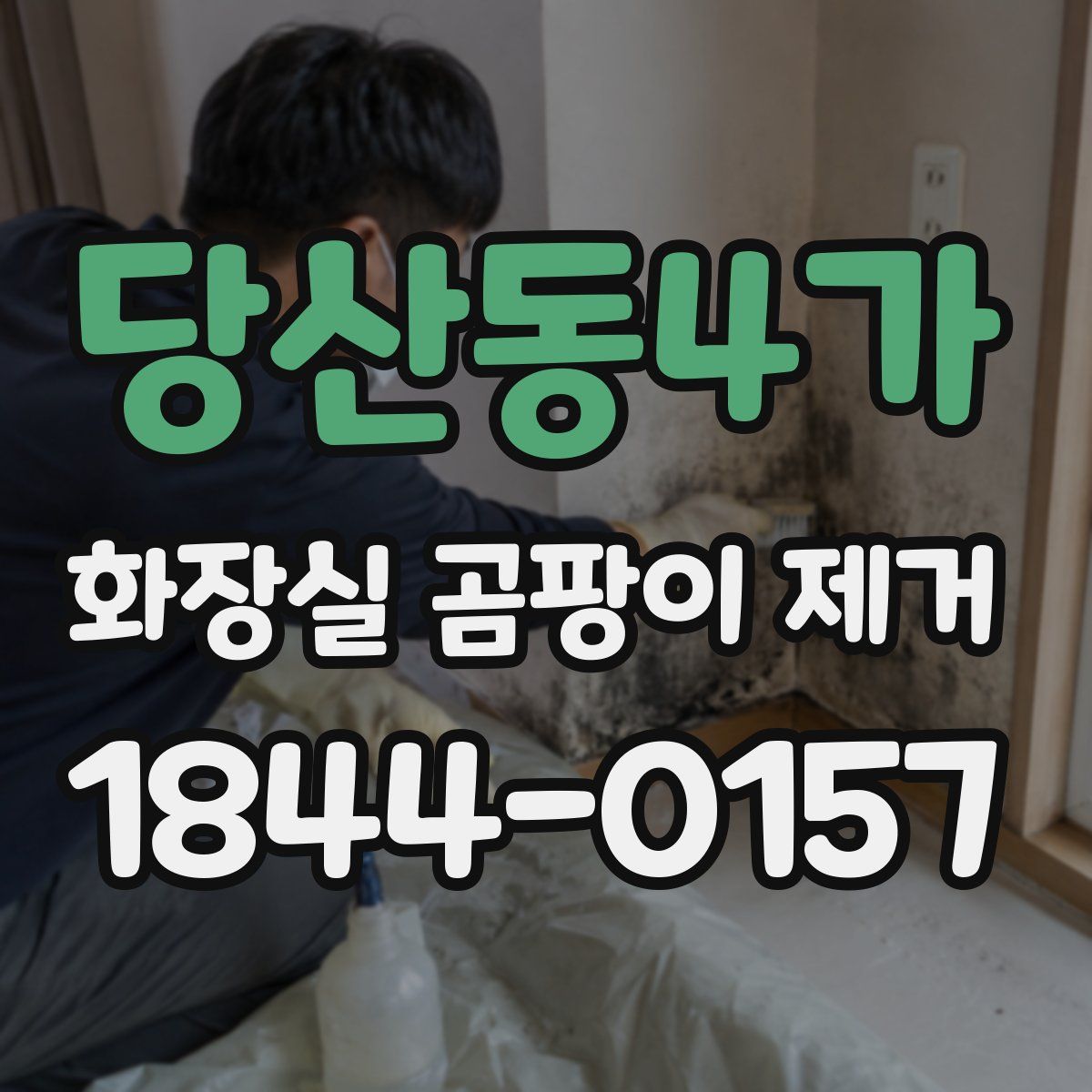 당산동4가 화장실 곰팡이 제거