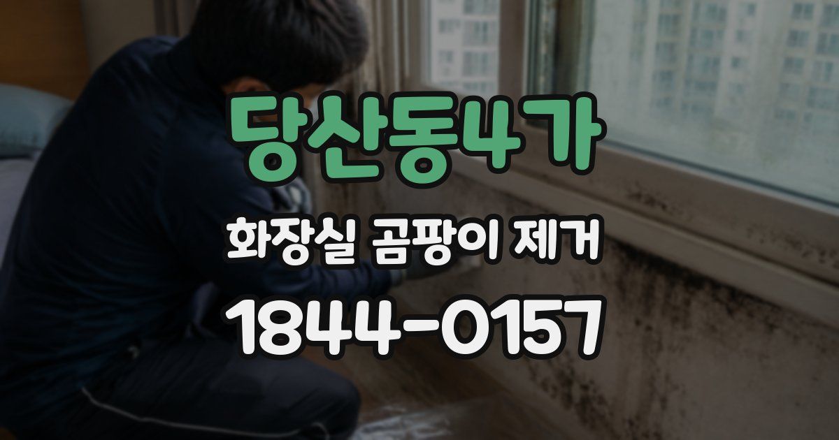 당산동4가 화장실 곰팡이 제거