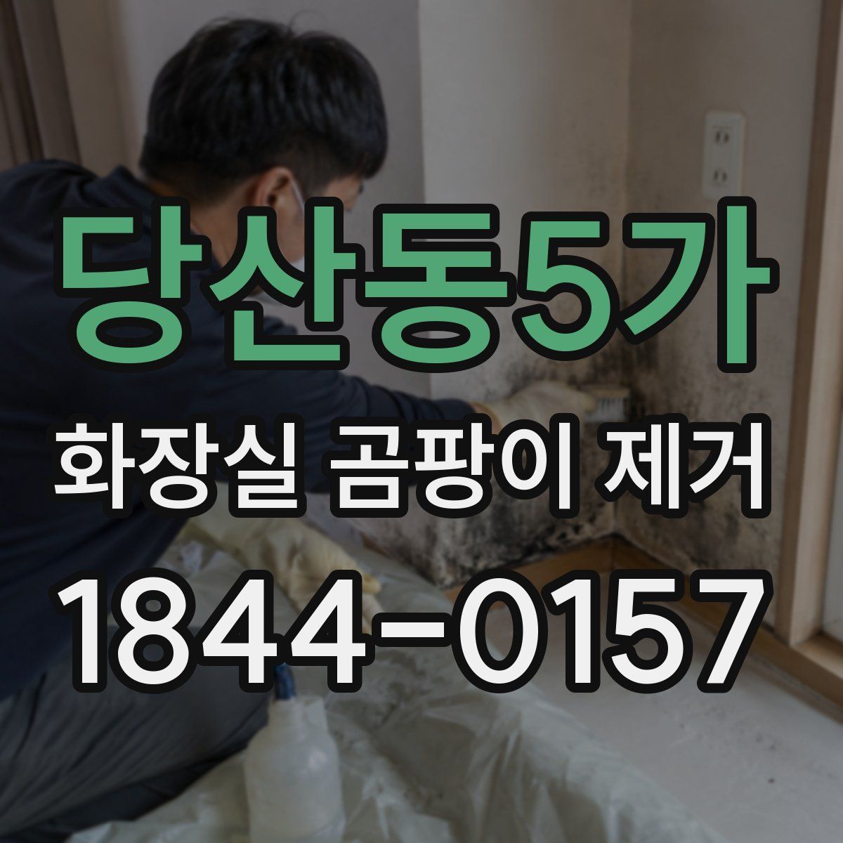 당산동5가 화장실 곰팡이 제거
