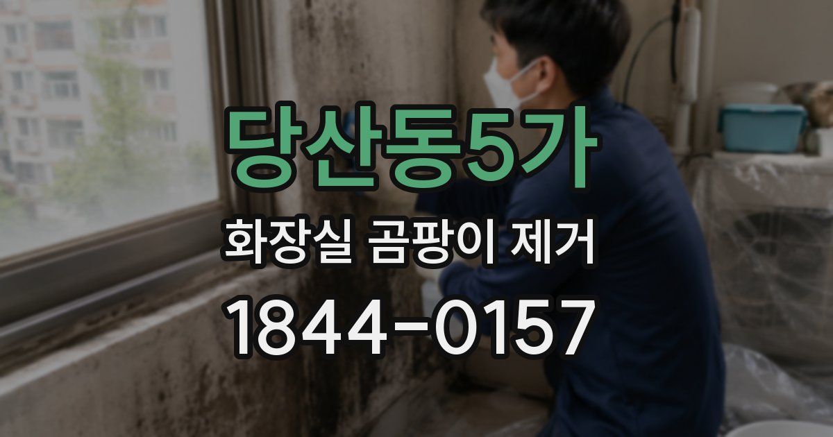 당산동5가 화장실 곰팡이 제거