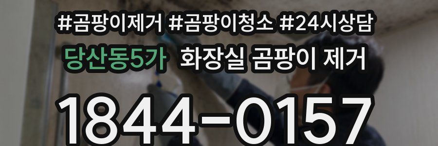 당산동5가 화장실 곰팡이 제거