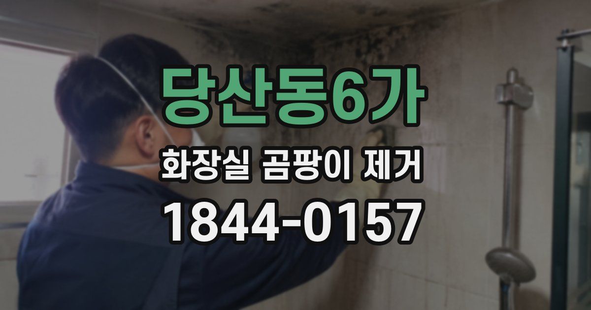 당산동6가 화장실 곰팡이 제거