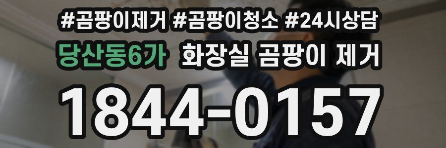 당산동6가 화장실 곰팡이 제거