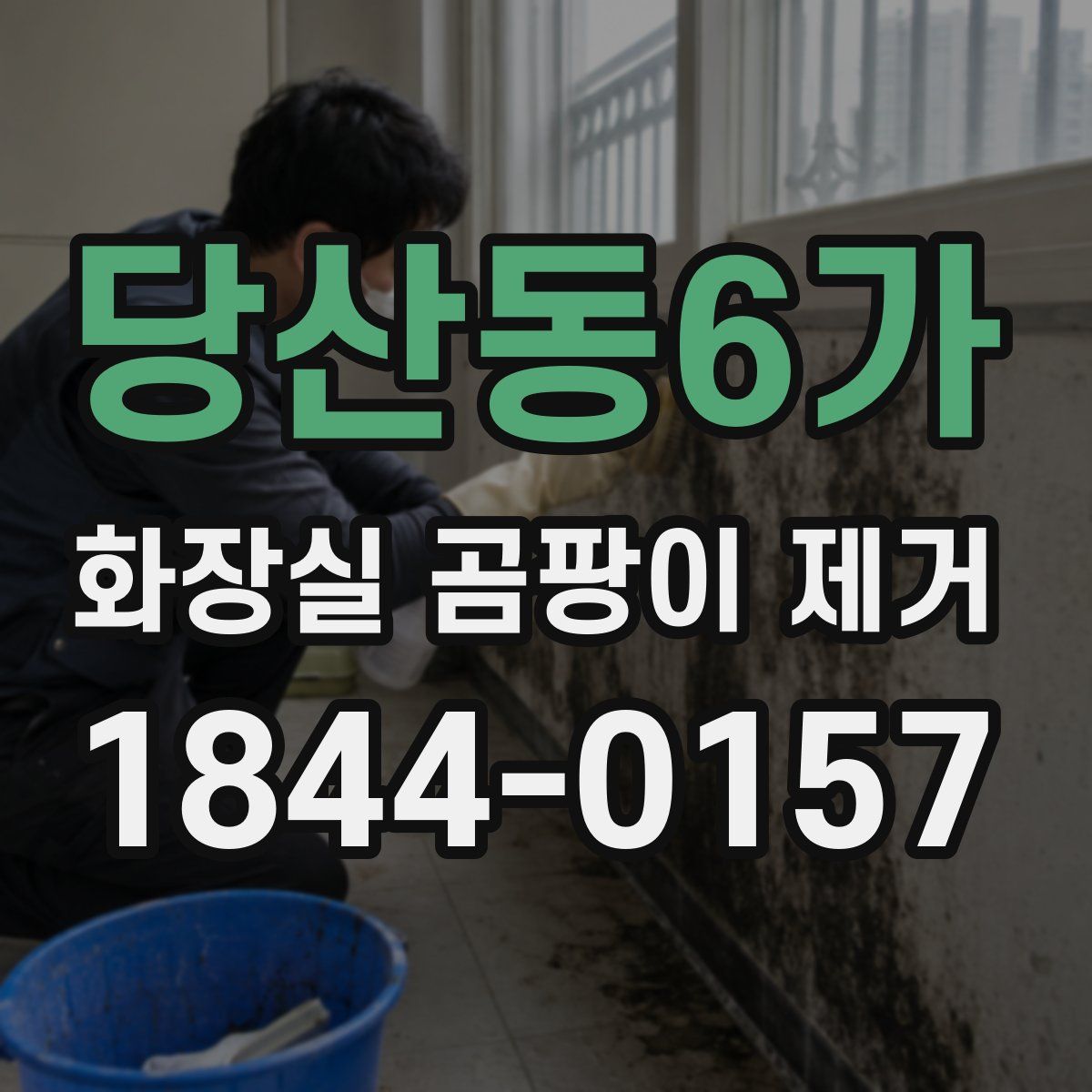 당산동6가 화장실 곰팡이 제거