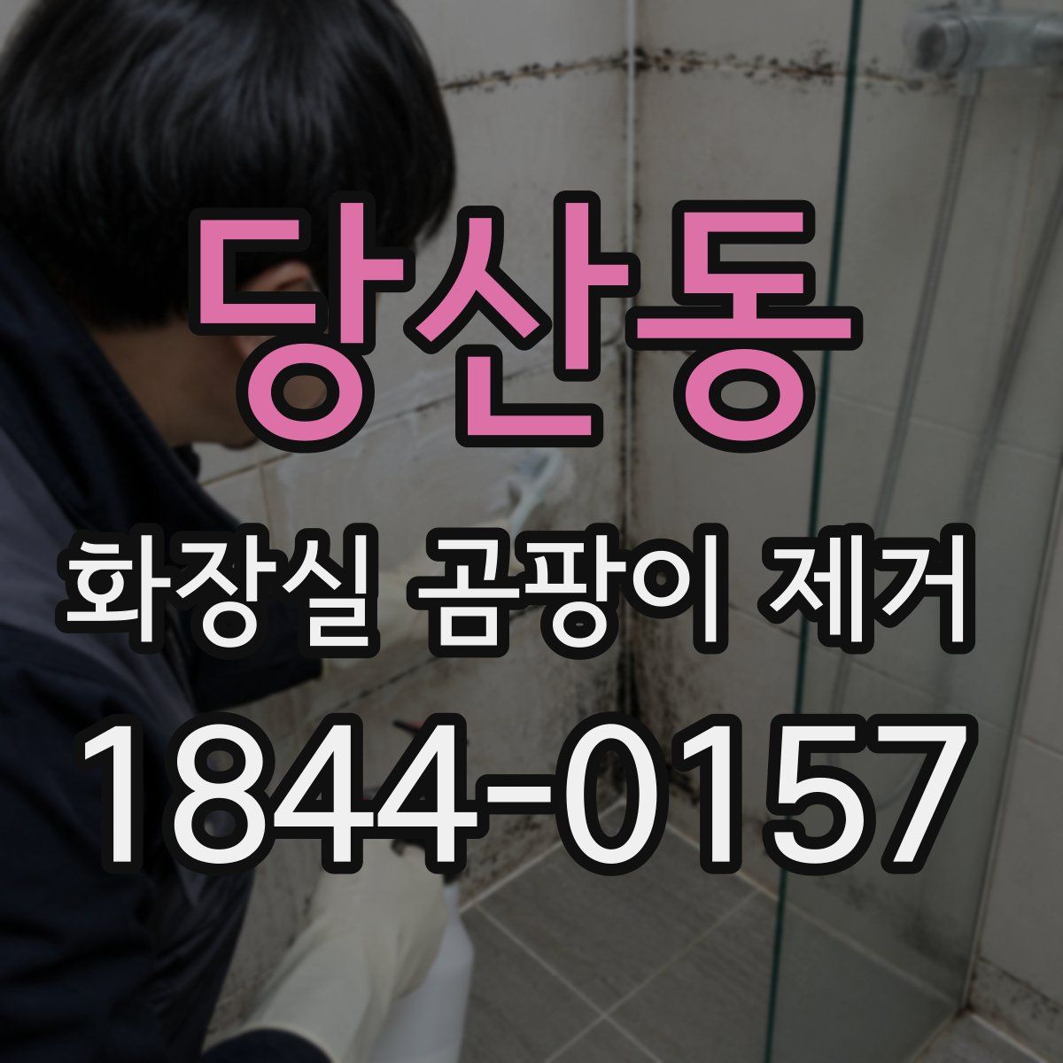 당산동 화장실 곰팡이 제거