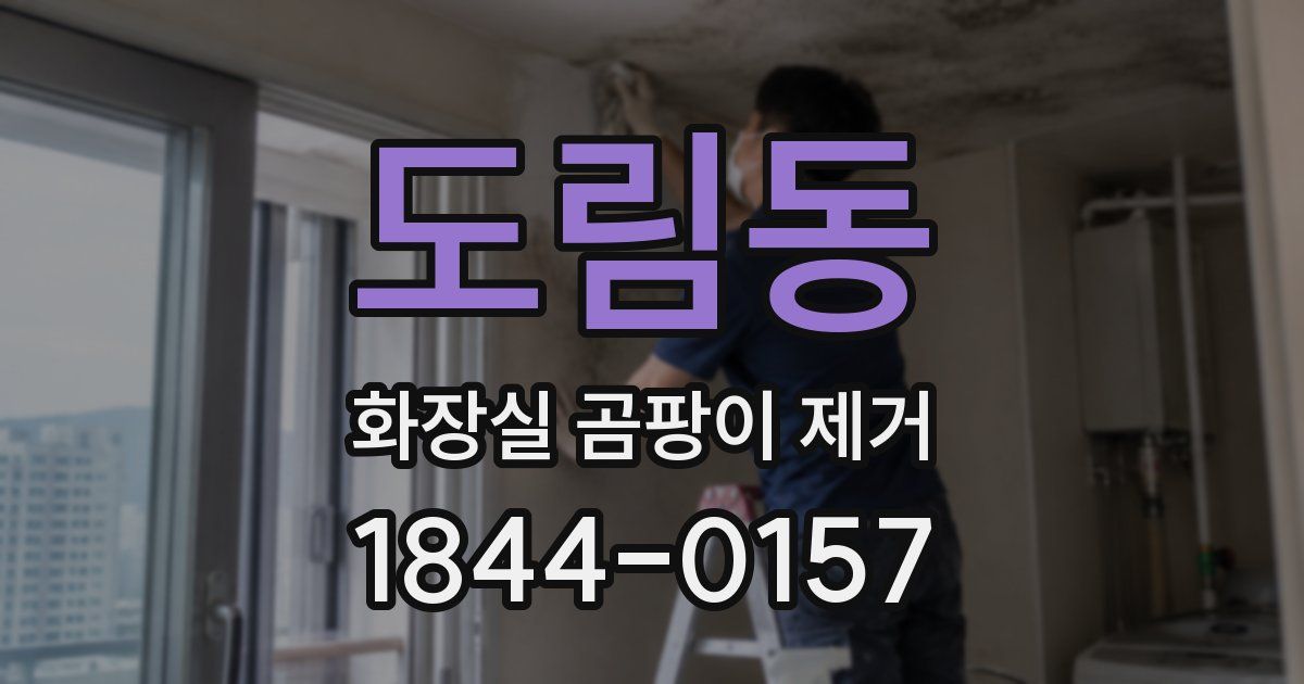 도림동 화장실 곰팡이 제거