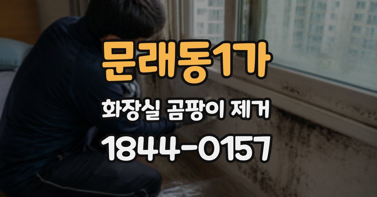 문래동1가 화장실 곰팡이 제거