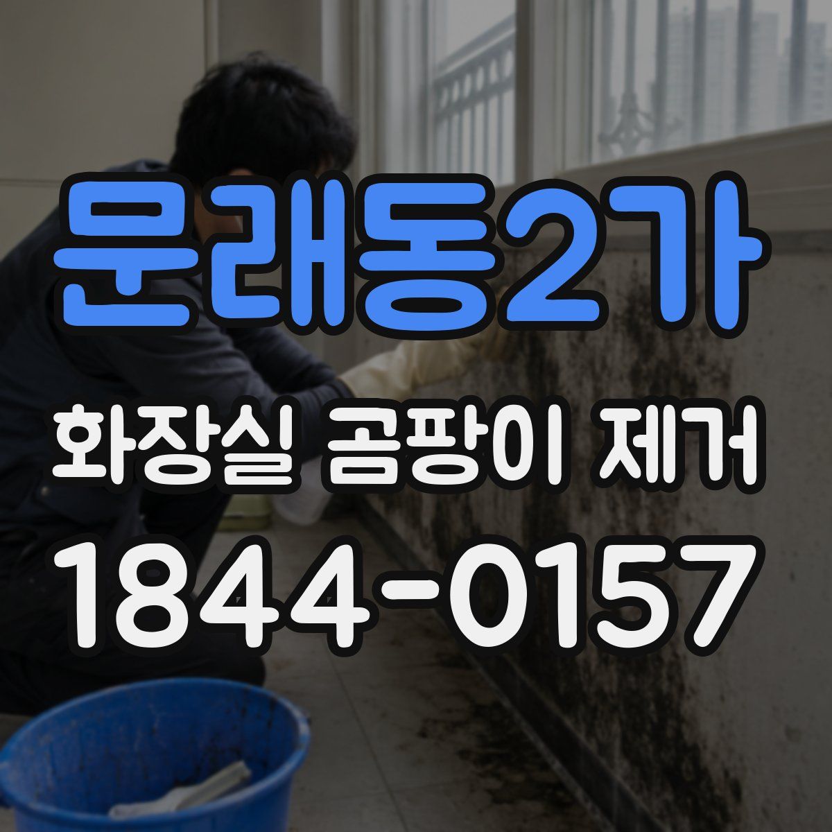 문래동2가 화장실 곰팡이 제거