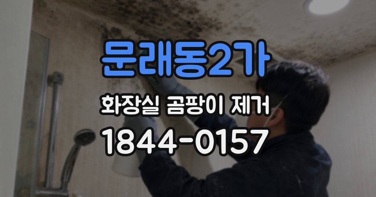 문래동2가 화장실 곰팡이 제거