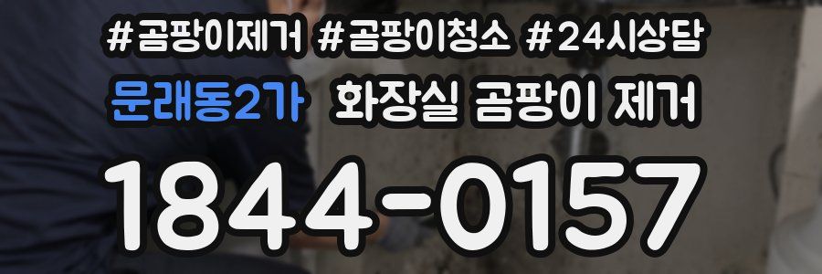 문래동2가 화장실 곰팡이 제거