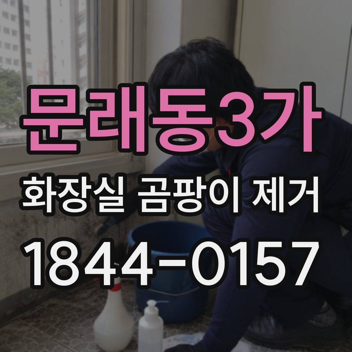 문래동3가 화장실 곰팡이 제거