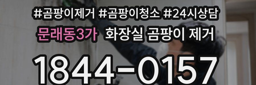 문래동3가 화장실 곰팡이 제거