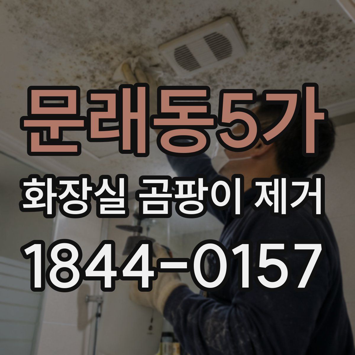 문래동5가 화장실 곰팡이 제거