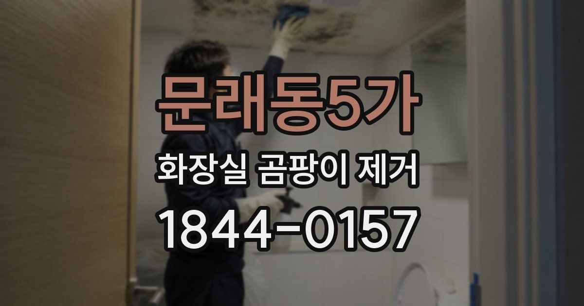 문래동5가 화장실 곰팡이 제거