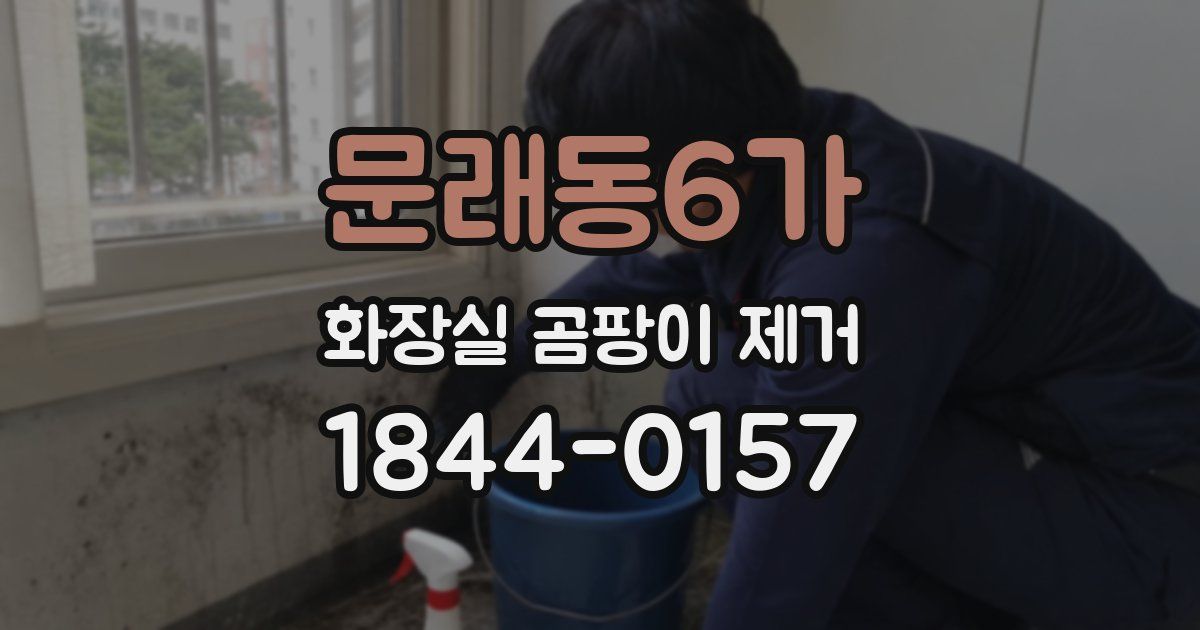 문래동6가 화장실 곰팡이 제거