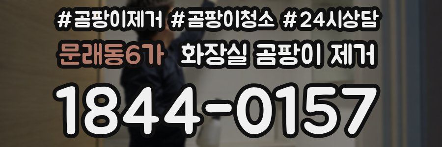 문래동6가 화장실 곰팡이 제거