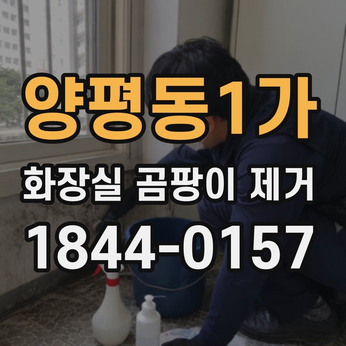 양평동1가 화장실 곰팡이 제거