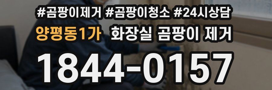 양평동1가 화장실 곰팡이 제거