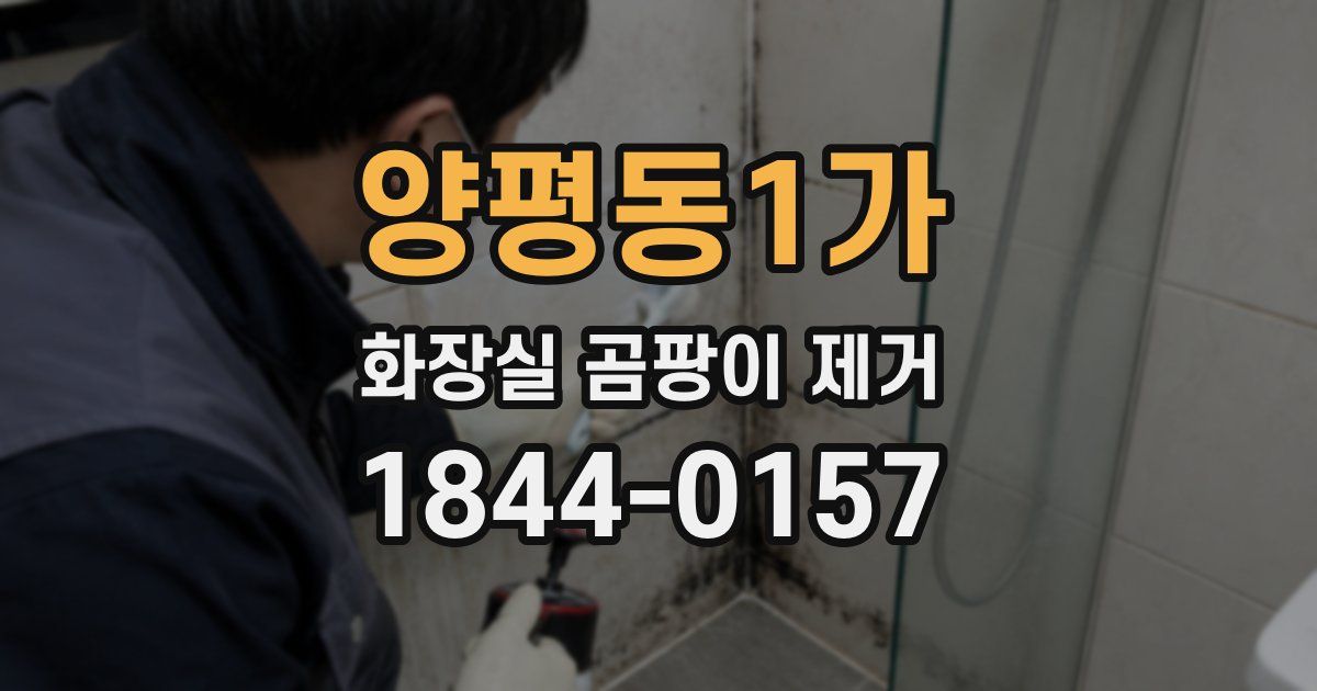 양평동1가 화장실 곰팡이 제거