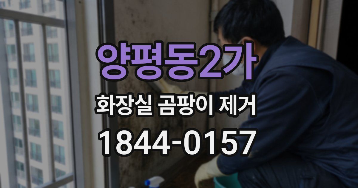 양평동2가 화장실 곰팡이 제거