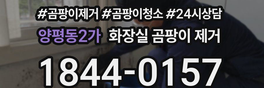 양평동2가 화장실 곰팡이 제거