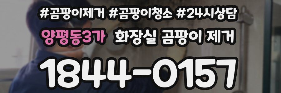양평동3가 화장실 곰팡이 제거