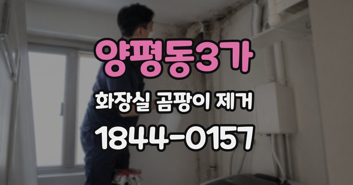 양평동3가 화장실 곰팡이 제거