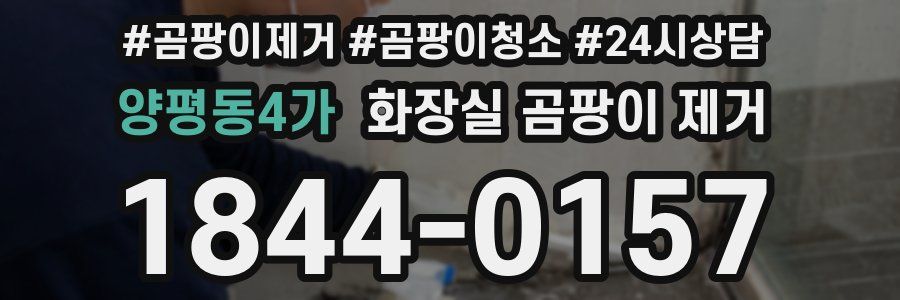 양평동4가 화장실 곰팡이 제거