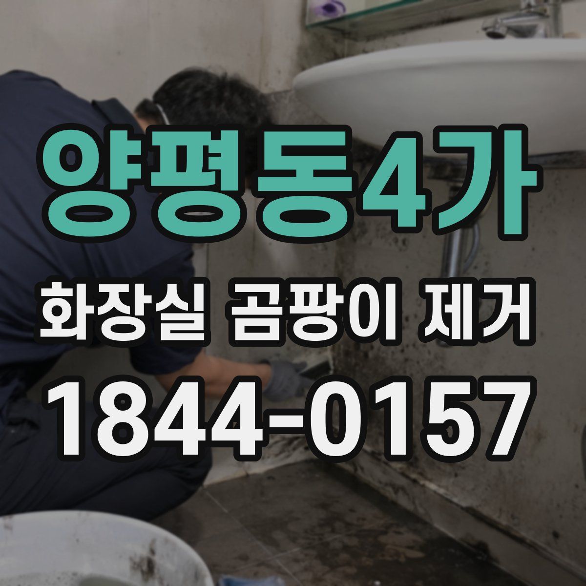 양평동4가 화장실 곰팡이 제거