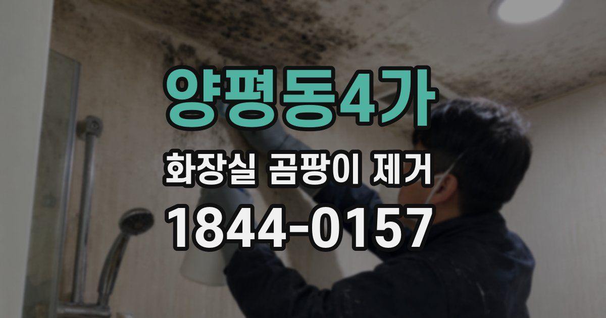 양평동4가 화장실 곰팡이 제거